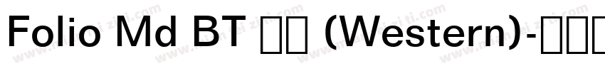 Folio Md BT 普通 (Western)字体转换